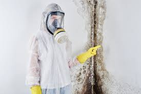 Why You Should Choose Our Mold Remediation Services in East Vineland, NJ